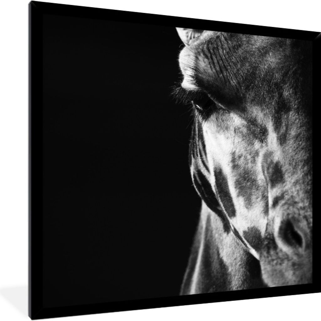 MuchoWow Gerahmtes Poster Tierprofil Giraffe in schwarz und weiß 40x40 cm - Poster mit Schwarzem Bilderrahmen Wandposter Rahmen Foto Bilder - Mi...
