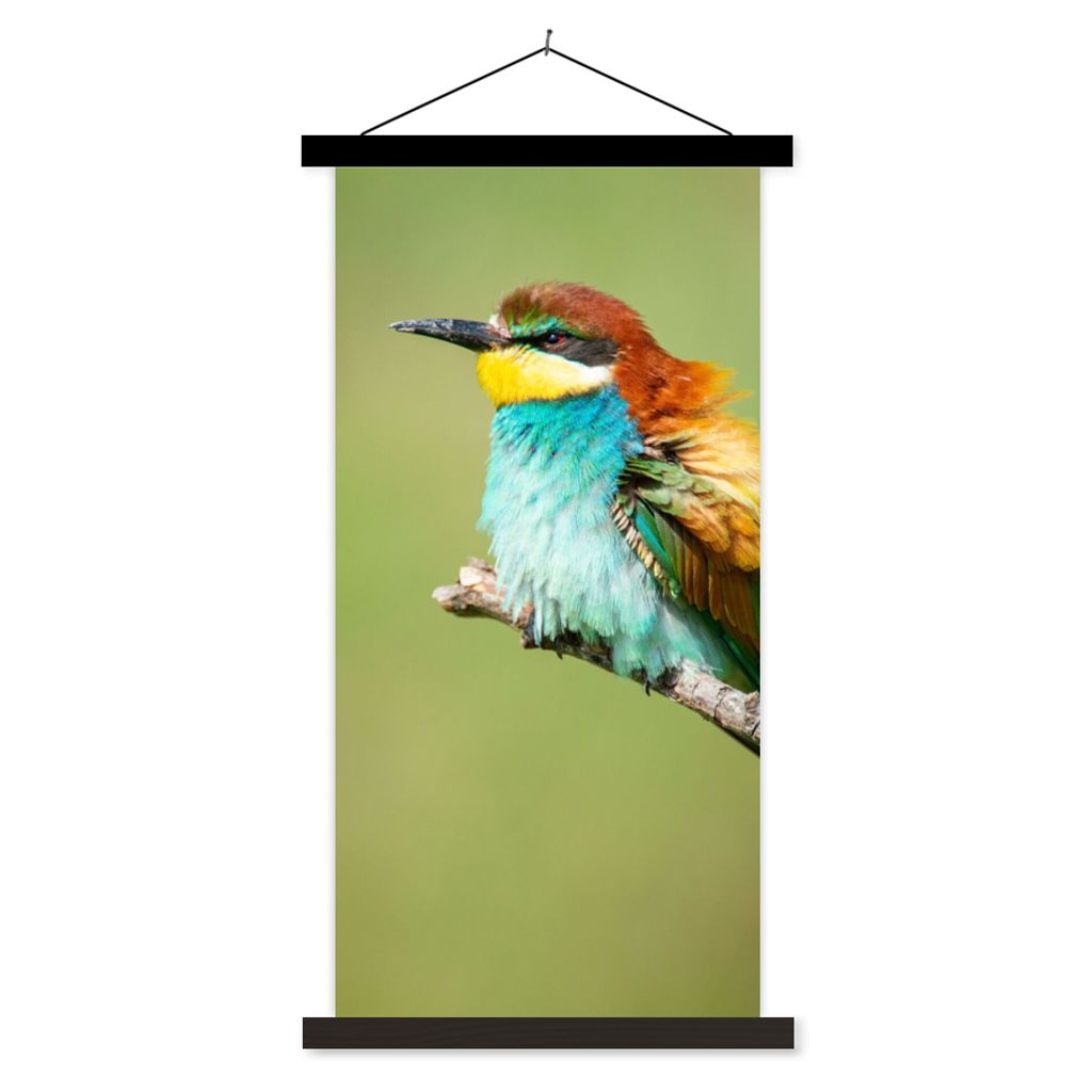 MuchoWow Textilposter Vogel - Tiere - Bienenfresser 40x80 cm mit schwarzem Rahmen - Wandemalerei