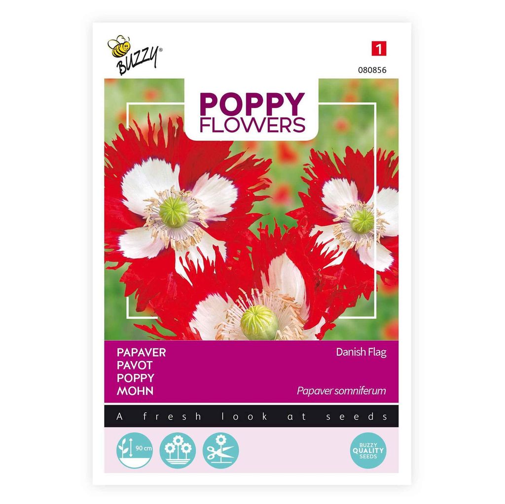 Buzzy Poppy Flowers Semi di papavero - Circa 0,75 gr | Immagine del prodotto 