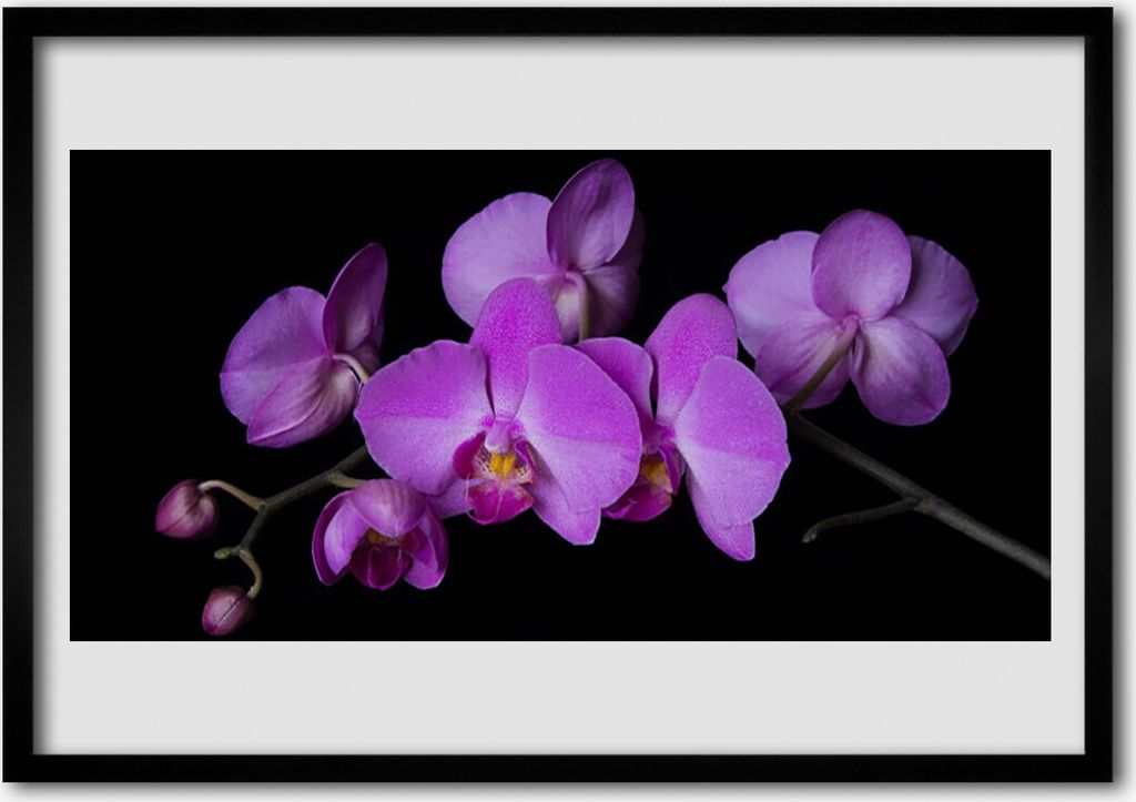 Bild 100x70 MDF-Rahmen Wandkunst Orchidee Orchidee Blumen