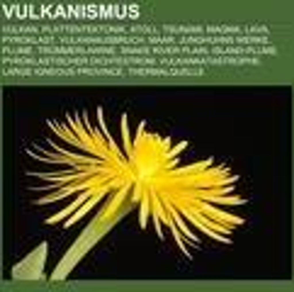 Vulkanismus