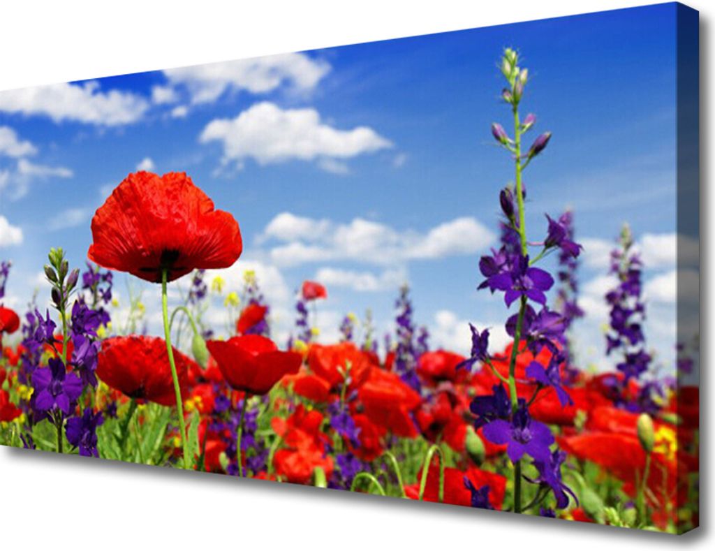 Tulup Leinwand-Bilder 100x50 Wandbild Canvas Kunstdruck Blumen Natur