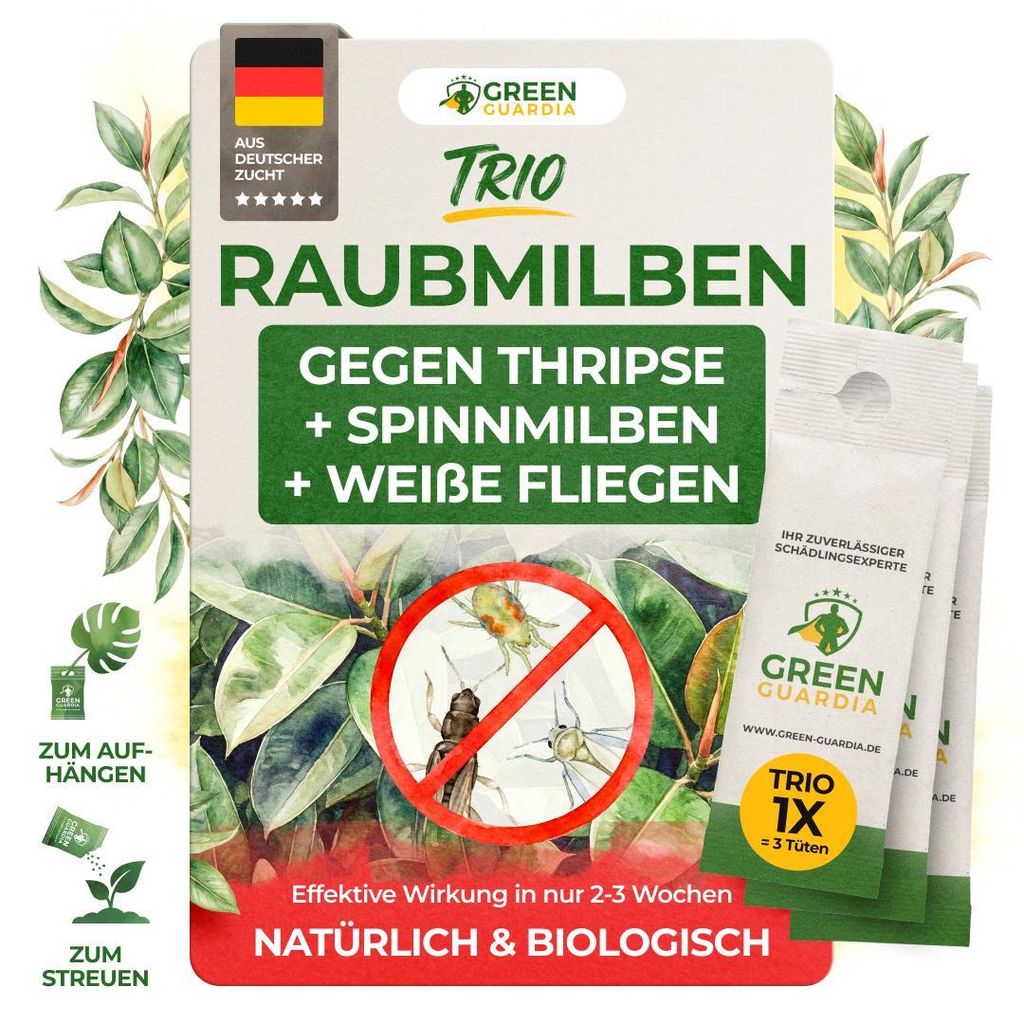 Raubmilben gegen Thripse, Spinnmilben & Weiße Fliegen - 1x Produktbild 