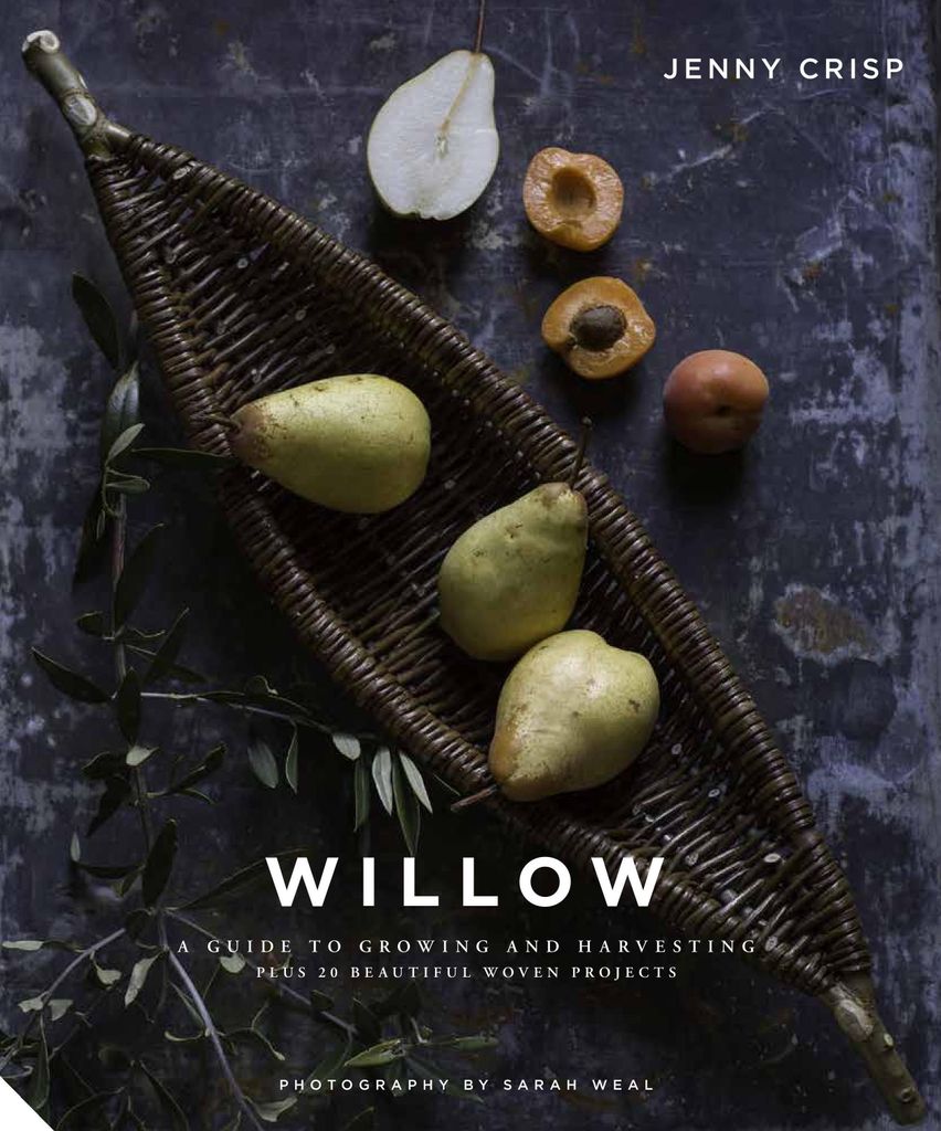 Willow – Lingua: Inglese