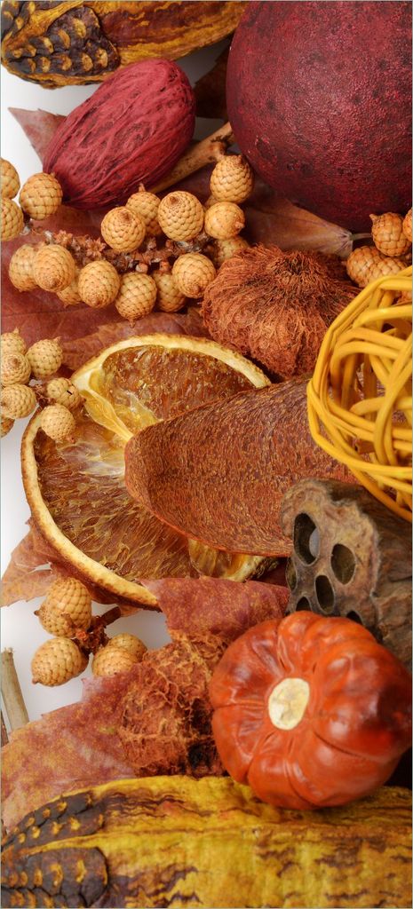 Türtapete Türposter Herbststimmung - Trockenfrüchte, Nüsse und Samen - Herbstdeko - Größe: 93 x 205 cm