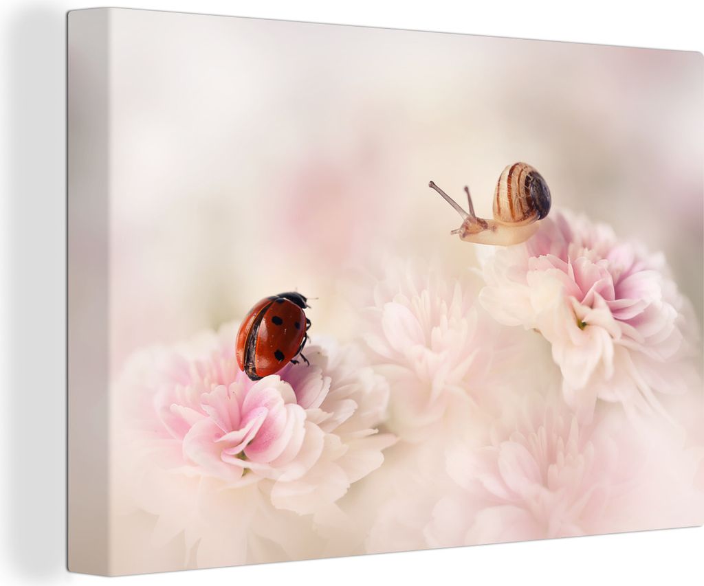 MuchoWow - Leinwandbilder - Schnecken - Blumen - Marienkäfer, Wandbild, Wanddeko Bilder Wohnzimmer, 30x20 cm