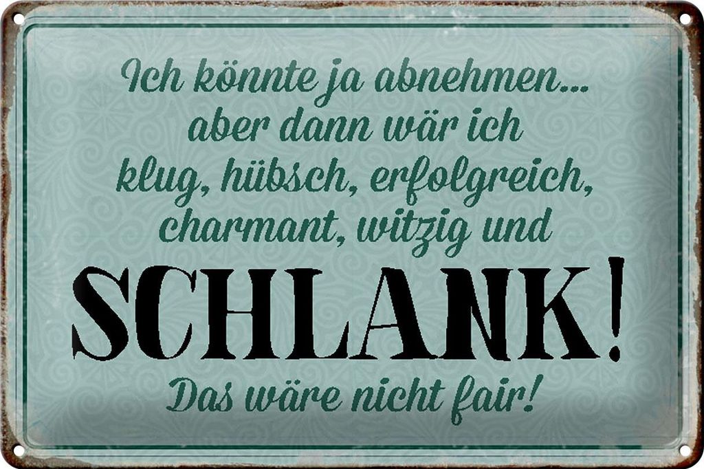 Blechschild Spruch 30x20cm könnte abnehmen dann klug hübsch