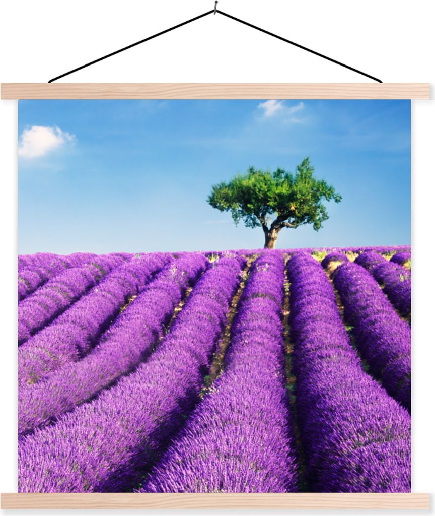 MuchoWow Textilposter Ein lila blühendes Lavendelfeld an einem sonnigen Tag 60x60 cm mit holzfarbenen Rahmen - Wanddekoration