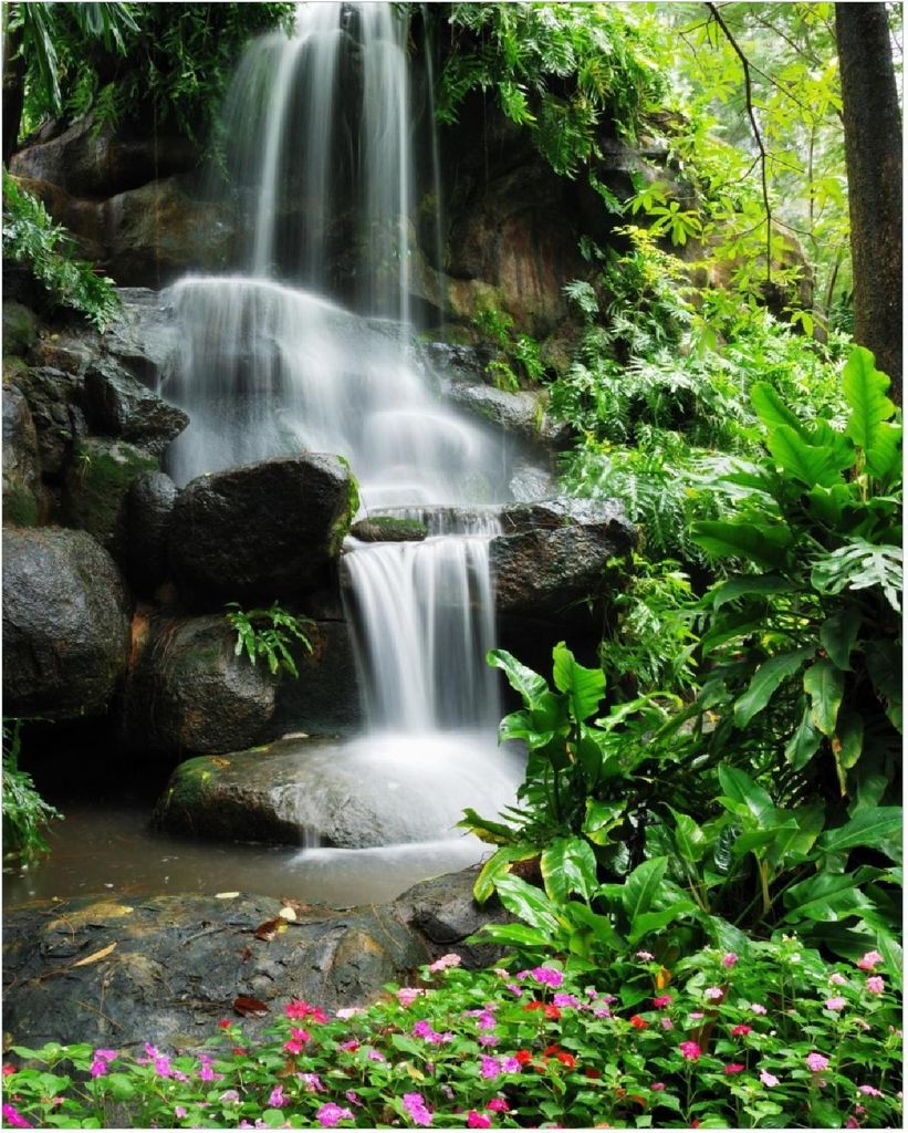 Wallario Poster - Sturzbach im Grünen, Kunstdruck Größe: 40 x 50 cm