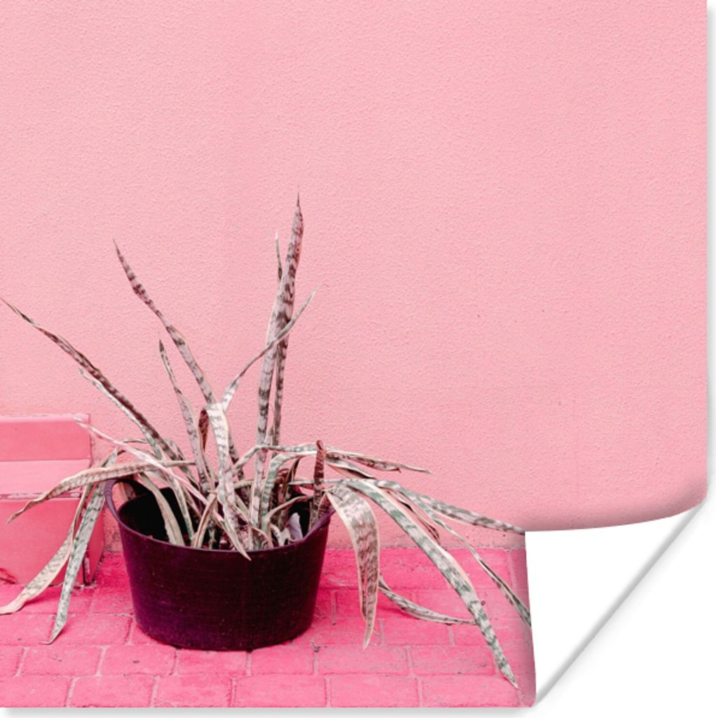 MuchoWow Poster Sommer - Rosa - Pflanzen 75x75 cm - Wand Dekoration