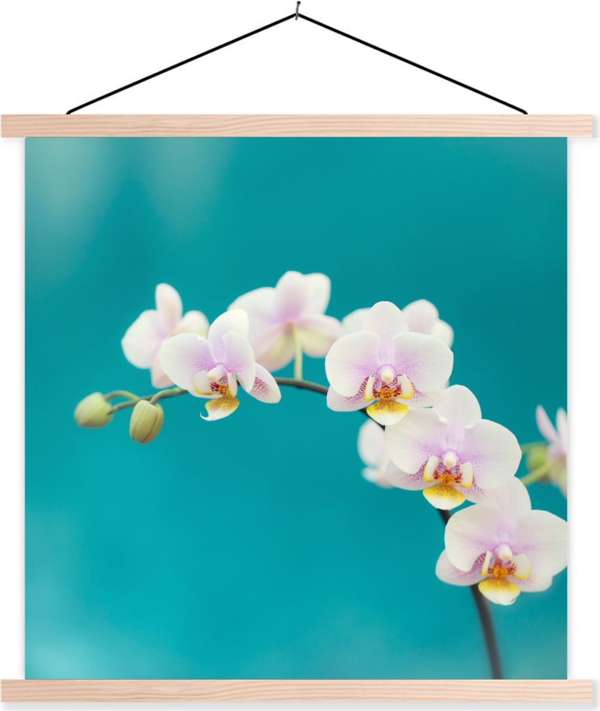 MuchoWow Textilposter Orchidee - Blumen - Pflanze - Weiß - Lila 40x40 cm mit holzfarbenen Rahmen - Posterleiste