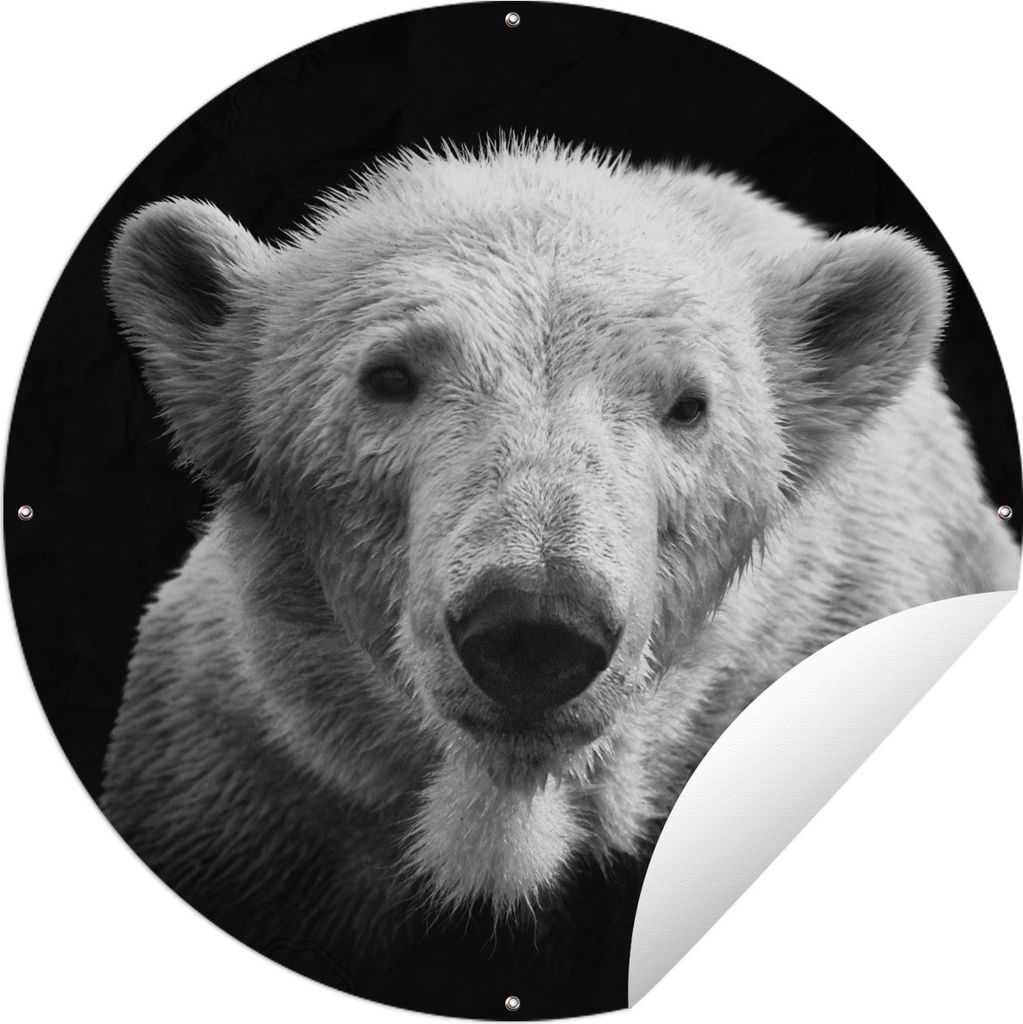 MuchoWow Gartenposter Outdoor-Poster Rund Eisbär - Tier - Schwarz - Weiß Ø 60 cm Gartendeko Rundes Poster draußen