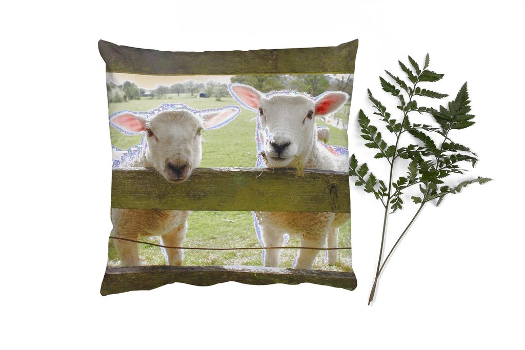 MuchoWow Zierkissen Sofakissen Wohnzimmer Dekokissen 45x45 cm Schafe - Tiere - Bauernhof - Schlafpolster - Polster für das Sofa