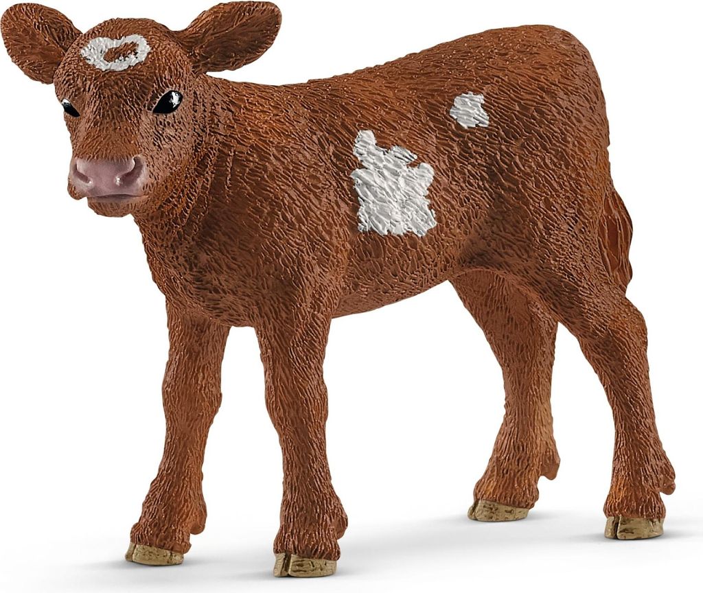 Texas Longhorn Kalb Zdjęcie produktu 