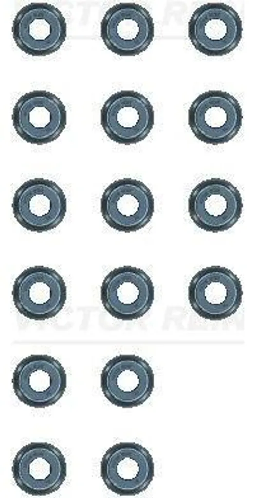 Kit de joints de tige de soupape REINZ 12-13109-01 pour SSANGYONG Tivoli
