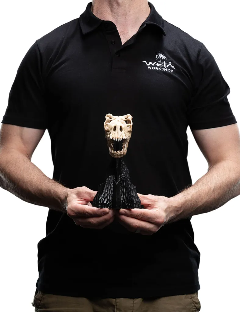 Objet de Collection Crâne de Bête Qualité Musée pour Vitrine de Fantasy - 4