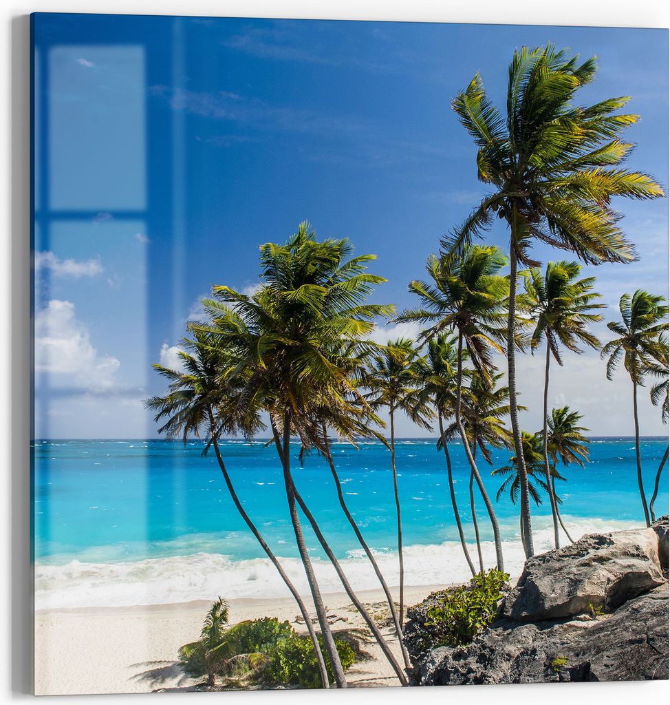 DEQORI Magnettafel Glas 50x50 cm 'Tropenparadies' beschreibbar Whiteboard Pinnwand Küche