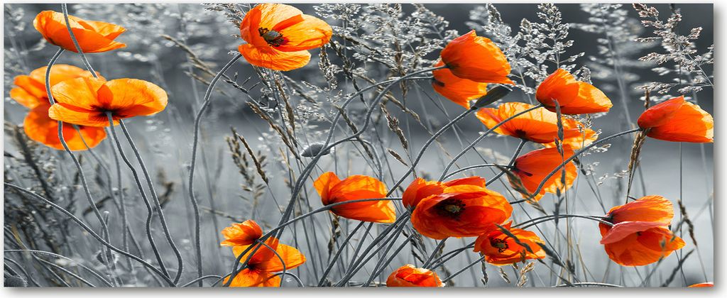Tulup Küchenrückwand Spritzschutz aus Glas -125x50 -Spritzschutz auf gehärtetes Glas Deko Blumen Pflanzen Feldmohnblumen