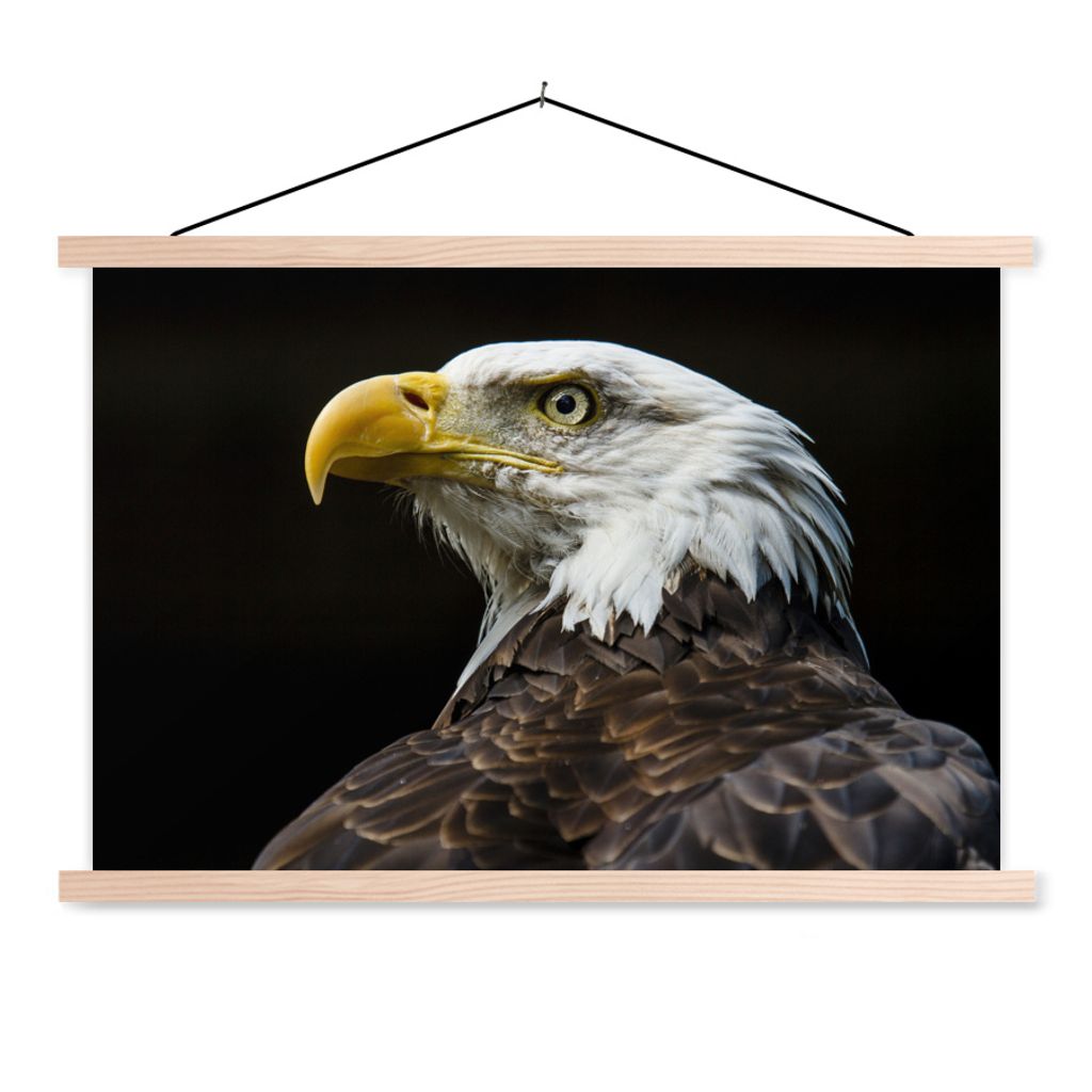 MuchoWow Textilposter Adler - Vogel - Augen - Schnabel 60x40 cm mit holzfarbenen Rahmen - Bilder