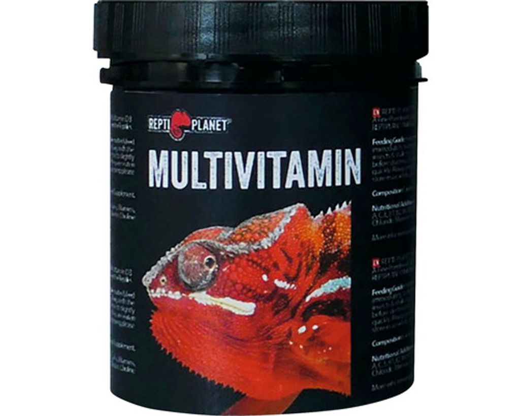 Repti Planet 007-83002, Leguán zelený, Bylinožravý plaz, Obrázok produktu 