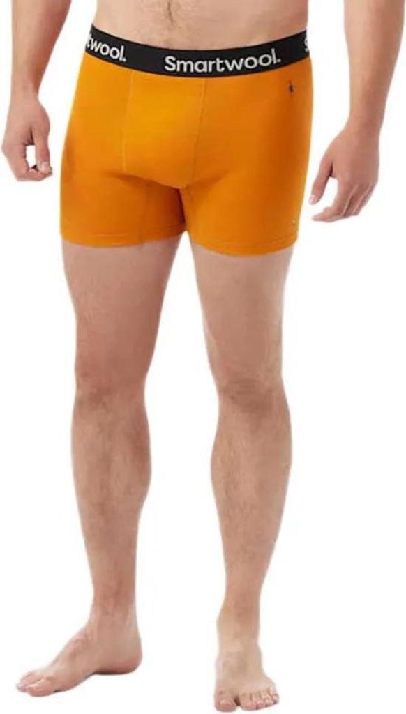 Smartwool Active Boxed Boxershorts Orange M Herren Orange M