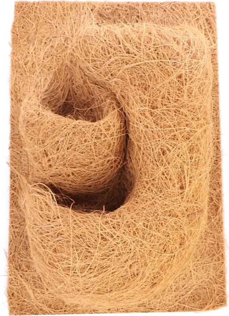 Terrario CocoBackground 20x30 cm - Fond de terrarium naturel en coco