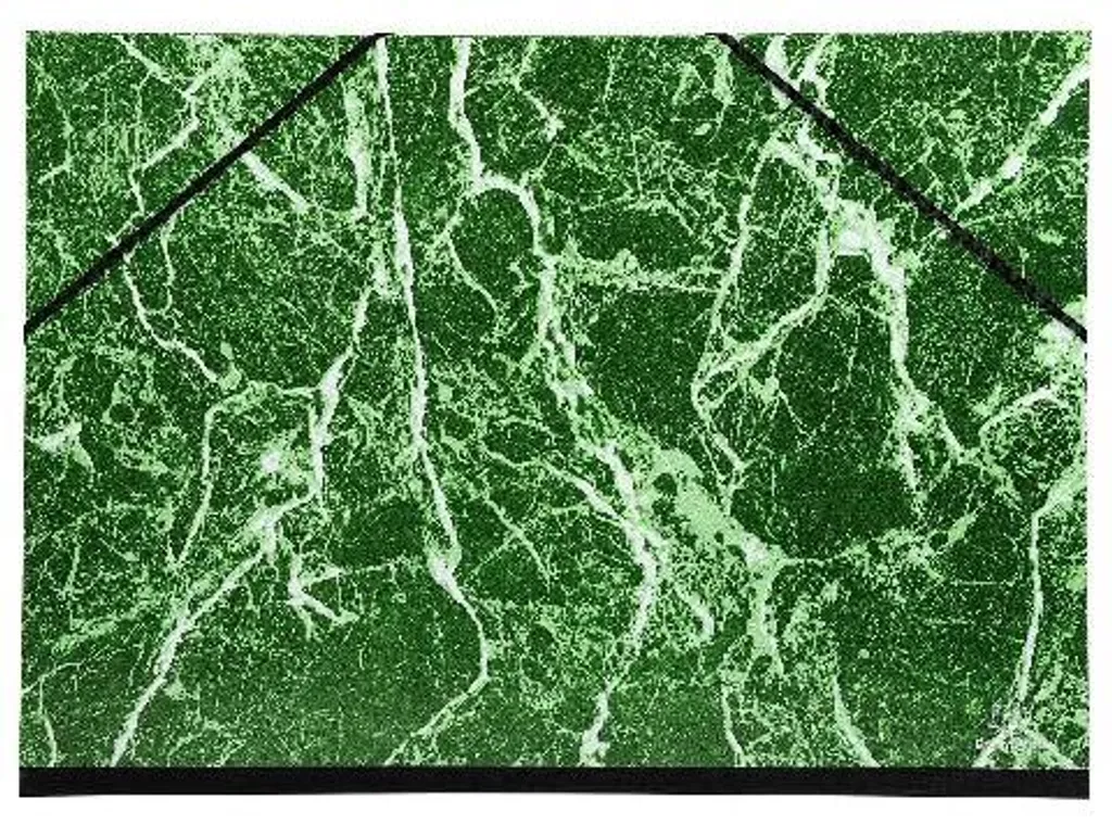 Exacompta 635E Carton à dessin marbré vert 37x52 cm 1/2 raisin lot de 10