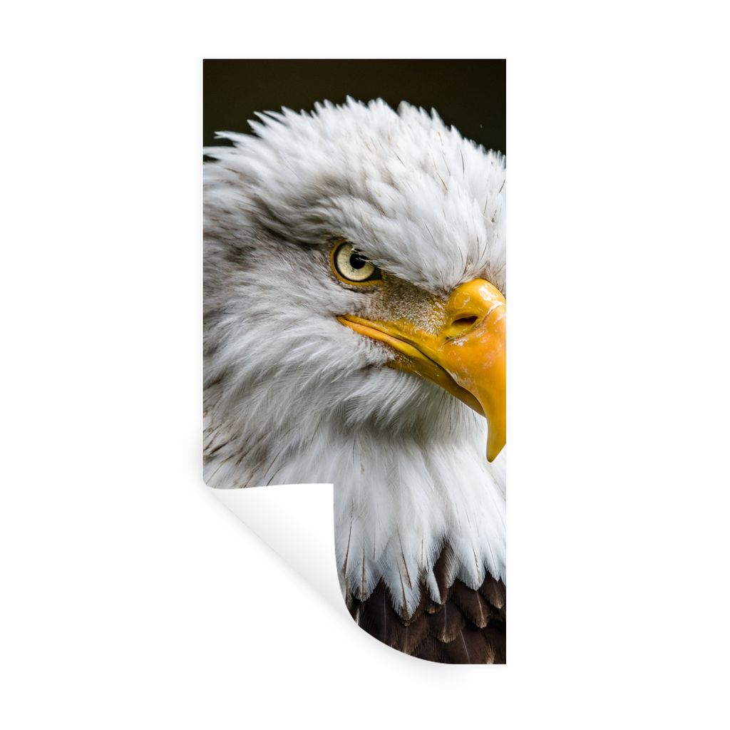 MuchoWow Wandtattoo Wandsticker Wandaufkleber Vogel - Seeadler - Schnabel 20x40 cm Selbstklebend und Repositionierbar - Selbstklebend - Fototapeten