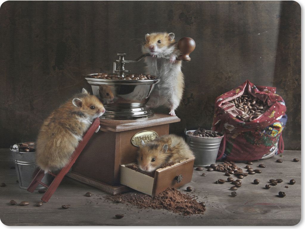 MuchoWow Mauspad Mousepad Stilleben von Hamstern beim Kaffeekochen 23x19 cm - Mousepads - Maus Mat - Pad - Mausunterlage - Schreibtischunterlage ...