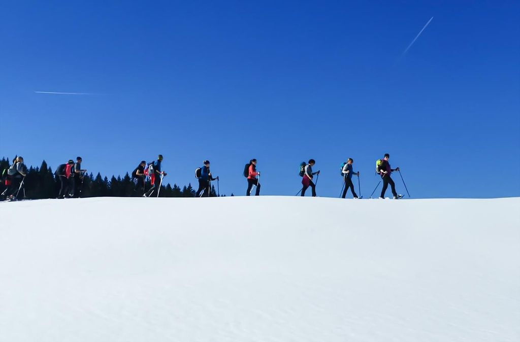 mydays Schneeschuhwanderung Reit im Winkl; Erlebnis verschenken oder selbst erleben; Gutschein für 1 Person(en)