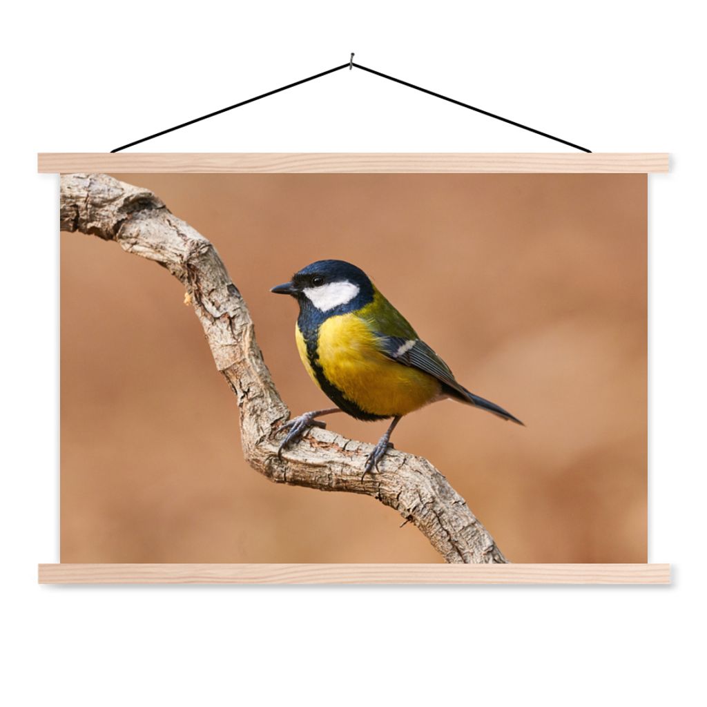 MuchoWow Textilposter Vogel - Kohlmeise - Zweige 120x80 cm mit holzfarbenen Rahmen - Aufhängeset