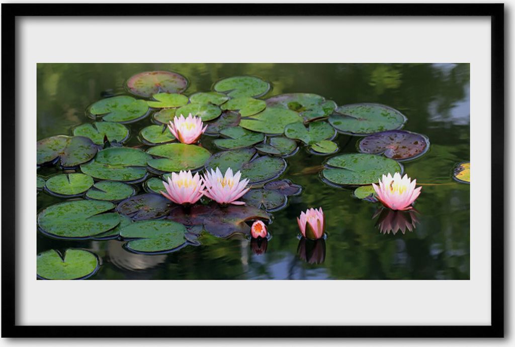 Bild 60x40 MDF-Rahmen Wandkunst Wasser-Lilien-Teich-Natur