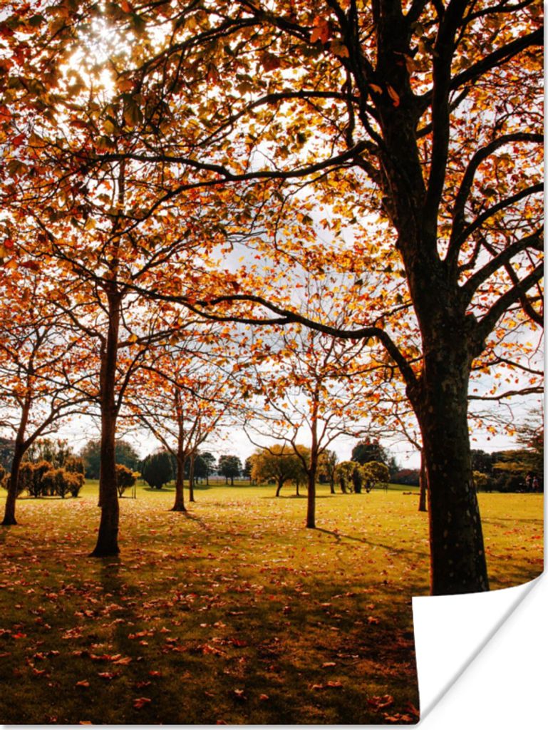 MuchoWow Poster Herbst - Herbstblätter - Natur 90x120 cm - Wohnzimmer