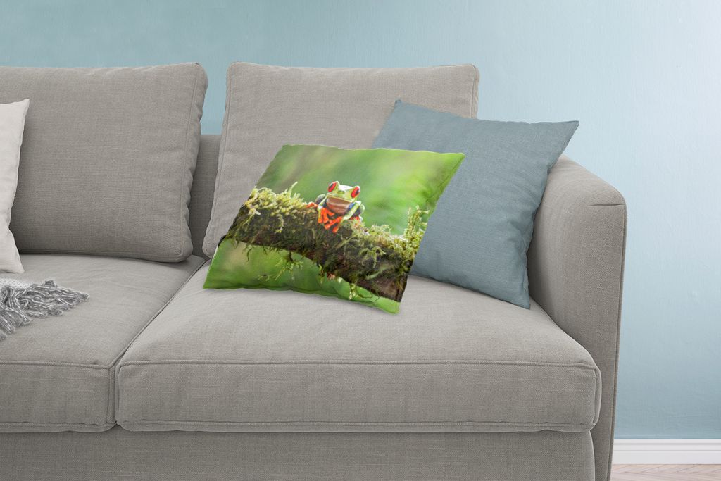 MuchoWow Zierkissen Sofakissen Wohnzimmer Dekokissen 60x40 cm Rotäugiger Quecksilberfrosch auf bewachsenem Ast - Kopfkissen - Polster mit Foto