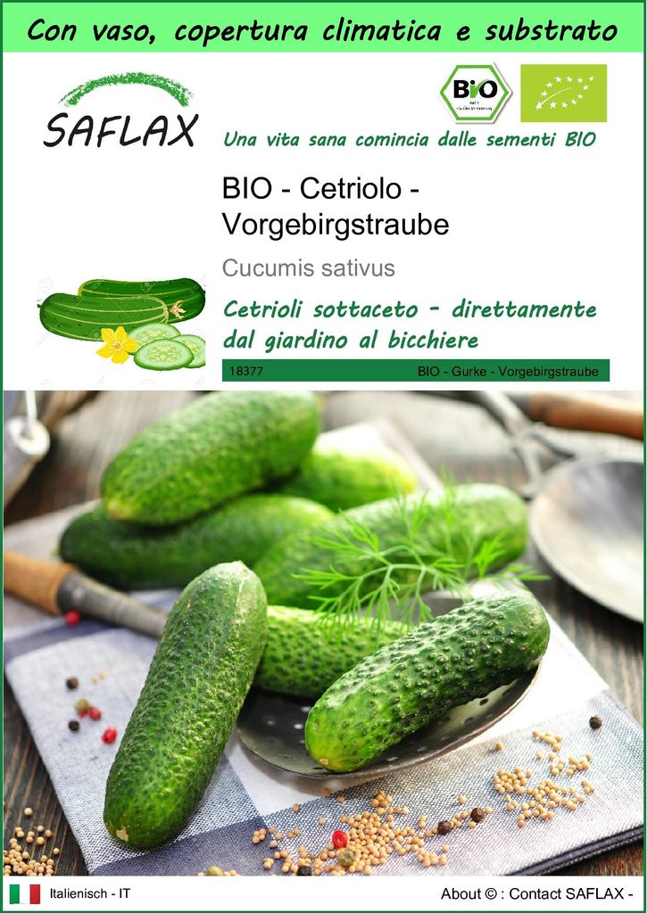 SAFLAX Garden to go - BIO - Cetriolo - Vorgebirgstraube - Immagine del prodotto 