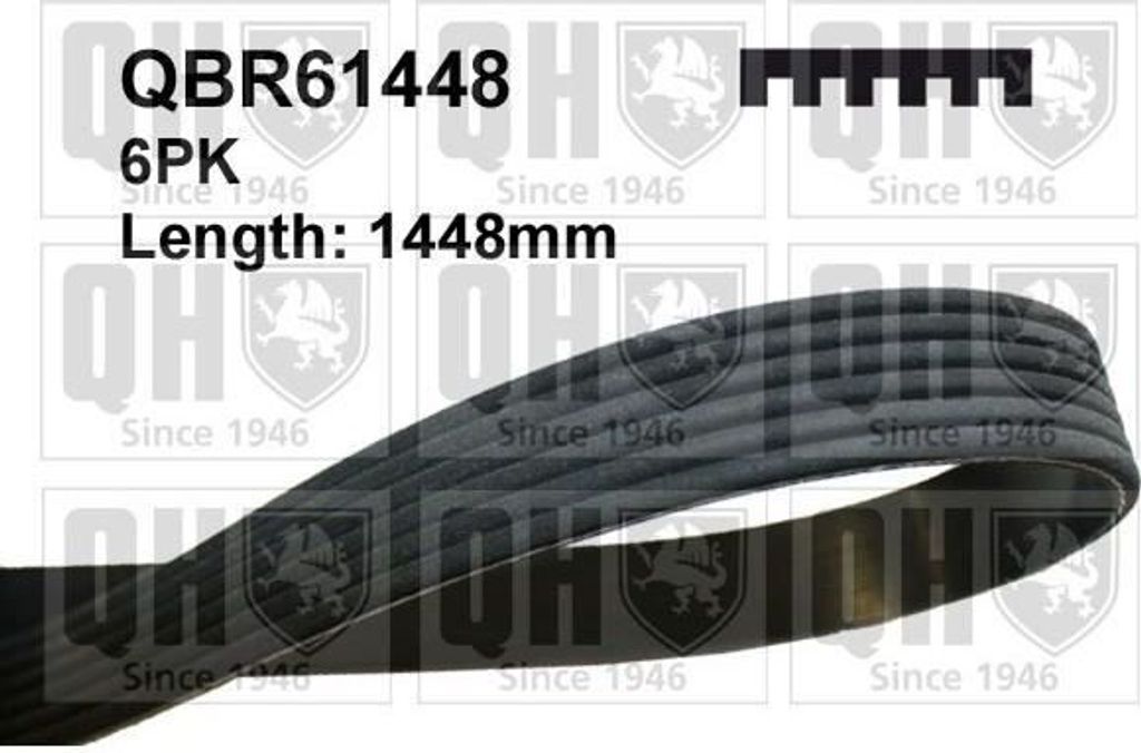 QUINTON HAZELL Keilrippenriemen 1448mm für VW POLO (9N) QBR61448