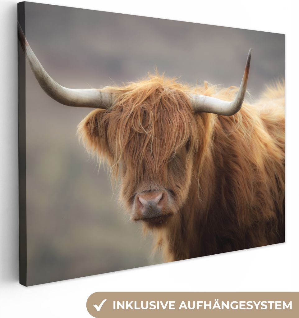 MuchoWow - Leinwandbilder - Schottischer Highlander - Licht - Porträt, Wandbild, Wanddeko Bilder Wohnzimmer, 40x30 cm