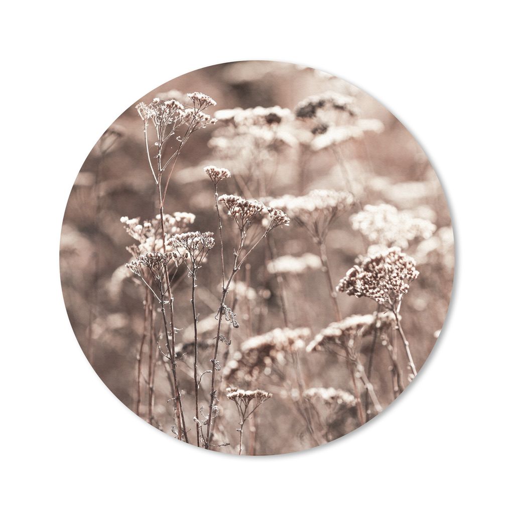 MuchoWow Mauspad Mousepad Pflanzen - Blumen - Winter - Schnee - Sepia 40x40 cm - Mousepads - Maus Mat - Pad - Mausunterlage - Schreibtisch Access...