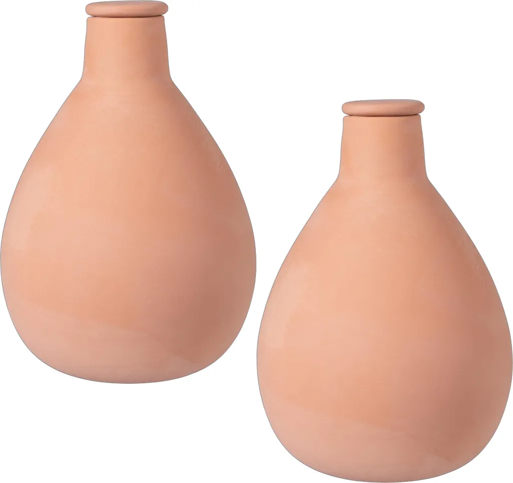 Pots d'irrigation en argile 1 litre lot de 2 pour un arrosage autonome