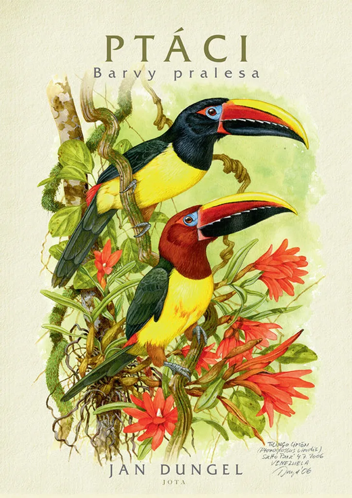 Beau livre illustré sur les oiseaux tropicaux album de Jan Dungel