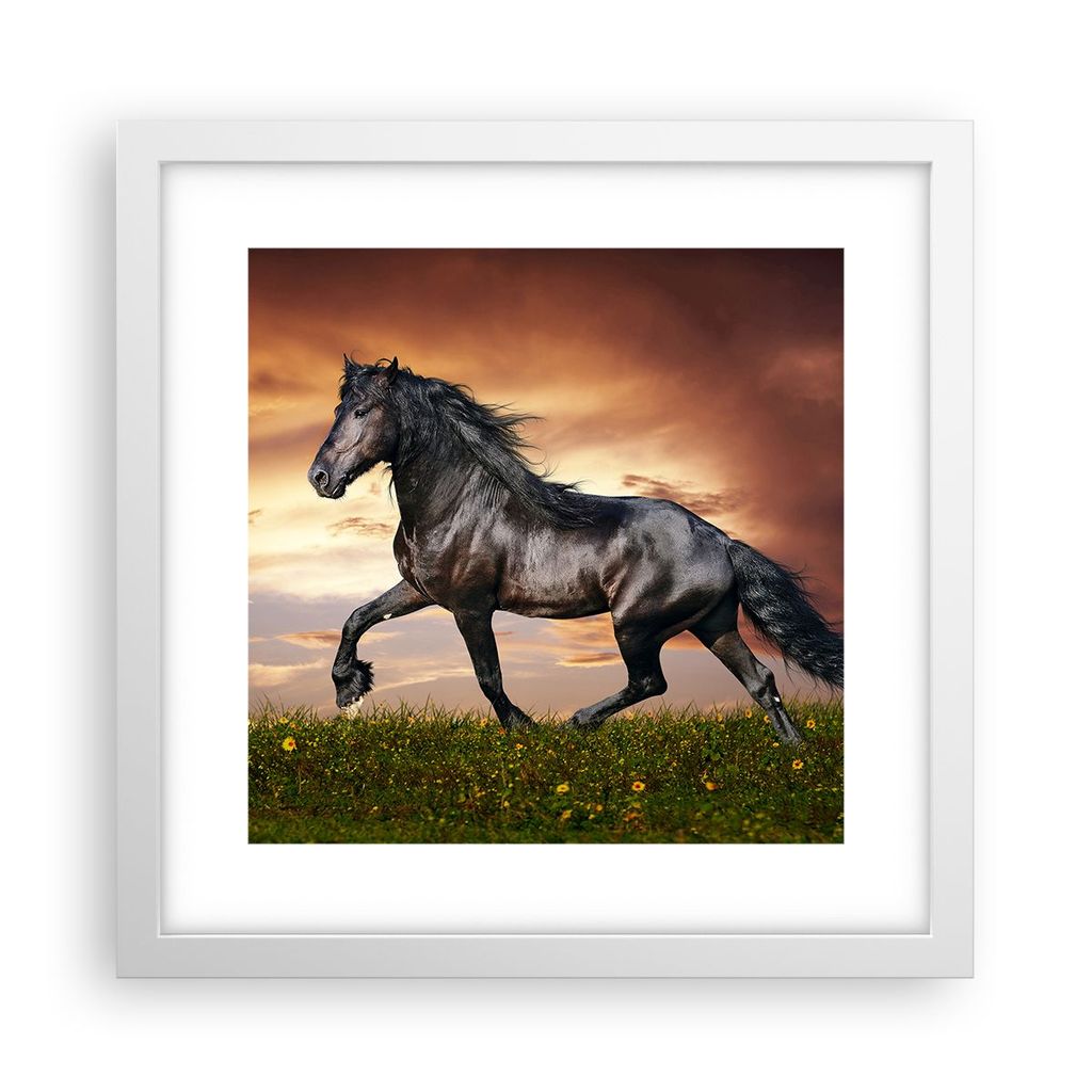 Gerahmtes Poster - Weißer Rahmen - Pferd Tier Wiese - 30x30 cm - Wand Bild - Wanddeko - Wandbilder - Kunstposter - Wandposter - Bilderrahmen - Bil...
