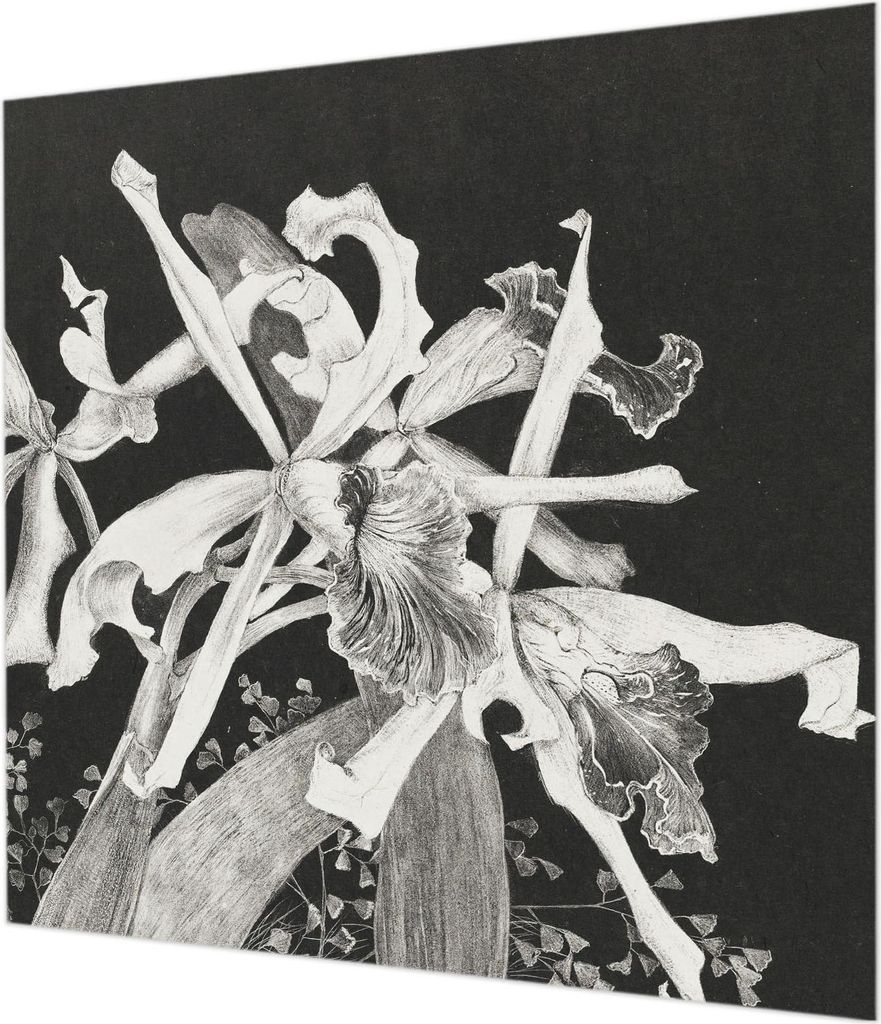 Wandtapete - Dekorative Tapete für Wohnzimmer - Tapetenfolie für Wanddekoration - 250x250 cm - Orchideenillustration