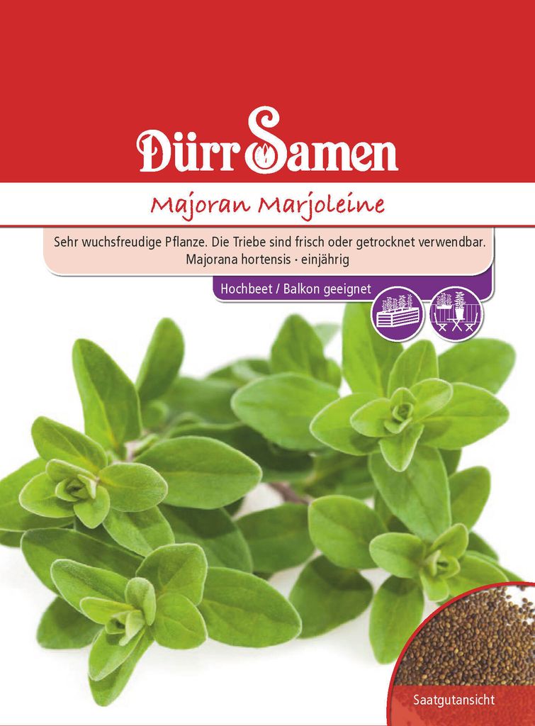 Majoran Marjoleine | Majoransamen von Dürr Samen