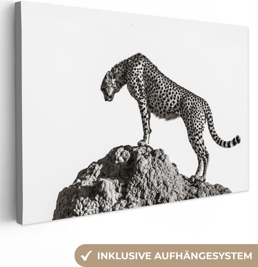 OneMillionCanvasses - Leinwandbilder - 140x90 cm, Raubtier - Panther - Tiere - Natur, Wandbilder Kunstdruck Wanddekoration - Foto auf Leinwand - ...