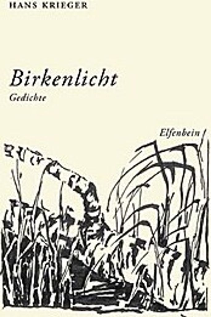 Birkenlicht