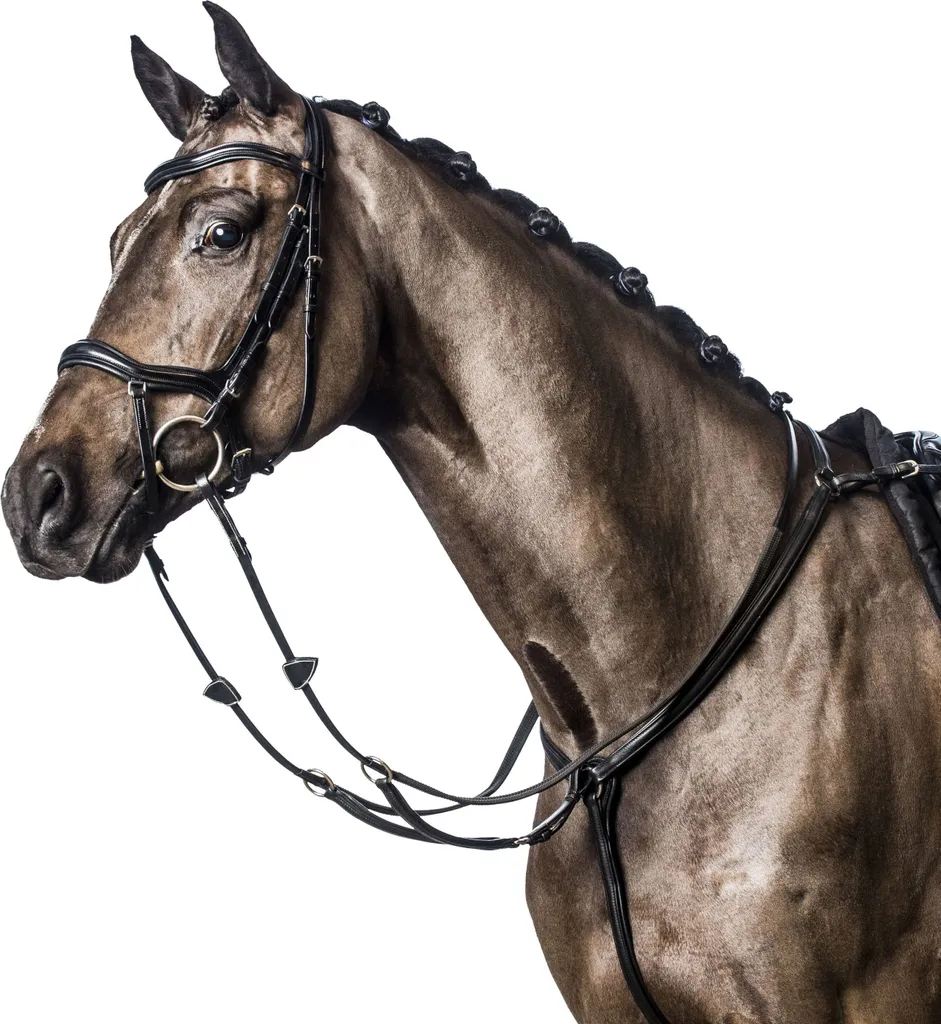 Bridon en Cuir Anglais Noir Horseguard avec Muserolle Combinée WB