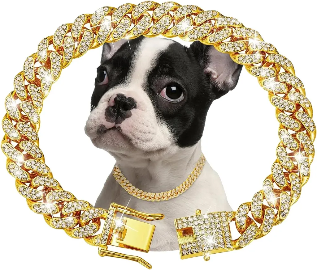 Collier chaîne pour chien 55 cm réglable, fini les colliers fragiles