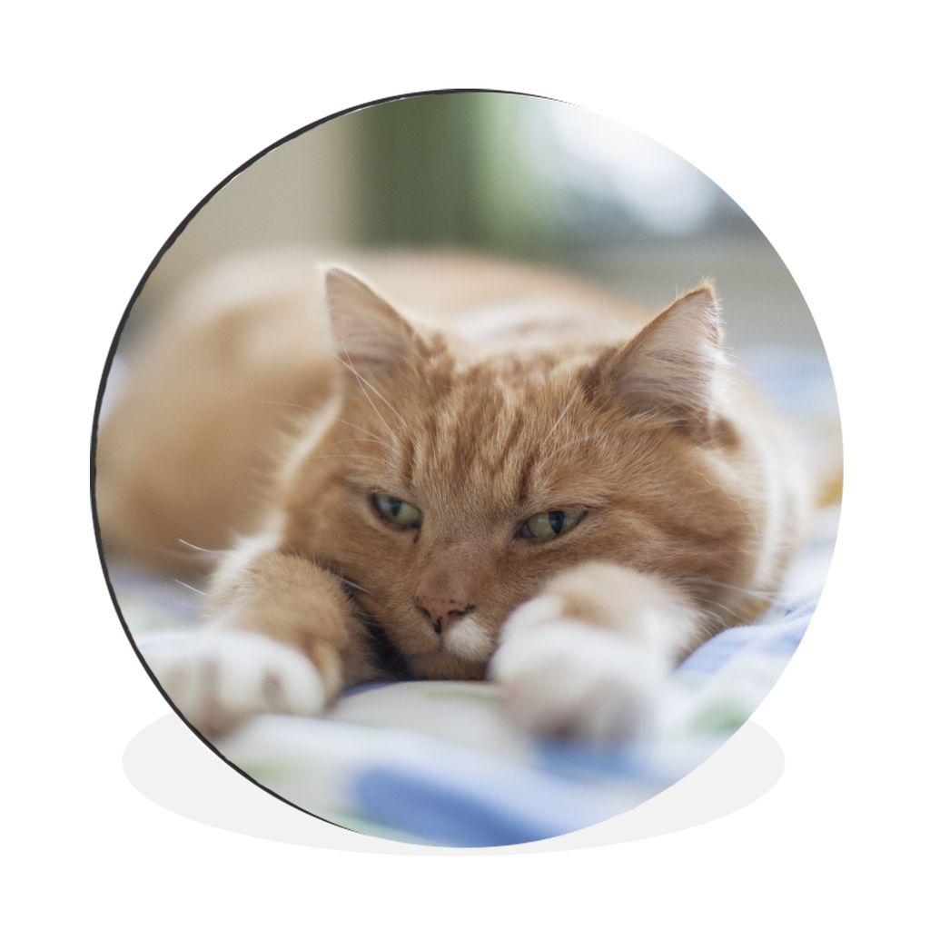 MuchoWow Aluminium Wandkreis Katze - Bett - Tagesdecke - Mädchen - Kinder - Kinder - Kind Ø 30 cm Wanddeko Modern Wohnzimmer - Wand Bild - Wohn...