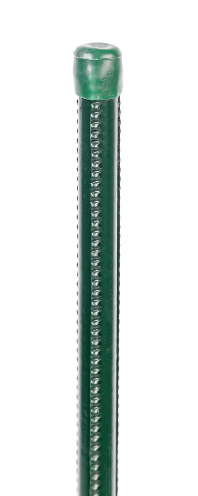 Tuteurage Tomates et Plantes Grimpantes 175cm Alberts - Lot de 25