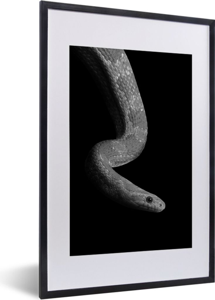 MuchoWow Gerahmtes Poster Tiere - Schlange - Schwarz - Weiß - Porträt 40x60 cm - Poster mit Schwarzem Bilderrahmen Wandposter Rahmen Foto Bilde...